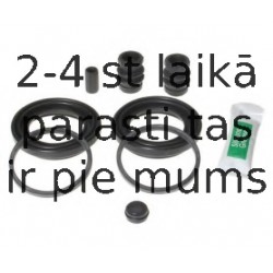 BUDWEG CALIPER 204609