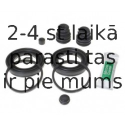 BUDWEG CALIPER 204529