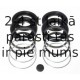 BUDWEG CALIPER 204522