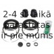 BUDWEG CALIPER 204521