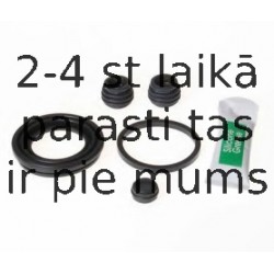 BUDWEG CALIPER 203832