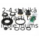 BUDWEG CALIPER 203626