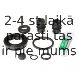 BUDWEG CALIPER 203410