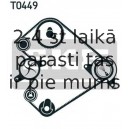 Spriegotājrullītis, Gāzu sadales mehānisma piedziņas siksna SKF VKM 74310