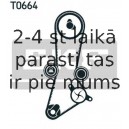 Spriegotājrullītis, Gāzu sadales mehānisma piedziņas siksna SKF VKM 74600