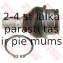 Balst-/Virzošais šarnīrs TRW JBJ744
