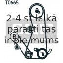 Spriegotājrullītis, Gāzu sadales mehānisma piedziņas siksna SKF VKM 75130