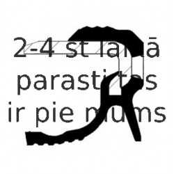 Vārpstas blīvgredzens, Kloķvārpsta CORTECO 19036885B