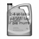 5W30 VW LONGLIFE III 5L 5W-30