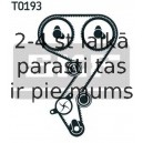 Zobsiksnas komplekts SKF VKMA 03256