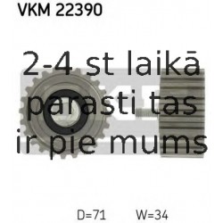 Parazīt-/Vadrullītis, Zobsiksna SKF VKM 22390