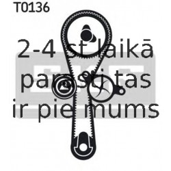 Zobsiksnas komplekts SKF VKMA 06010