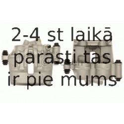 BOSCH 0 204 102 913 (6), Тормозной суппорт