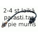 BOSCH 0 258 017 018 (6)