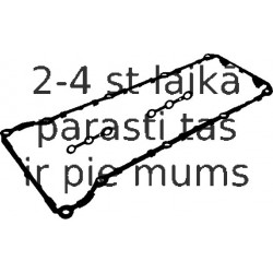 Комплект прокладок, крышка головки цилиндра REINZ 15-28939-01
