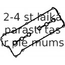 Комплект прокладок, крышка головки цилиндра REINZ 15-31036-01