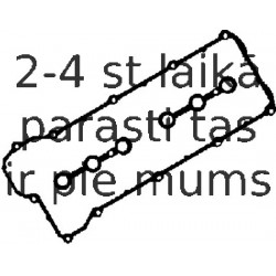 Комплект прокладок, крышка головки цилиндра REINZ 15-31036-01