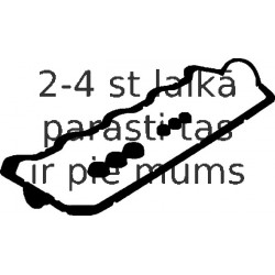 Комплект прокладок, крышка головки цилиндра REINZ 15-31257-01
