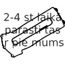 Комплект прокладок, крышка головки цилиндра REINZ 15-31822-01