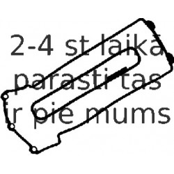 Комплект прокладок, крышка головки цилиндра REINZ 15-31822-01