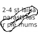 Комплект прокладок, крышка головки цилиндра REINZ 15-33077-01