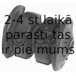 Piekare, Lokšņu atspere FEBI BILSTEIN 06224