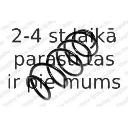 Balstiekārtas atspere KILEN 11454