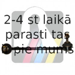 Stabilizatora stieņa nostiprinājuma statnis, kreisais, RTS 97-09528-2