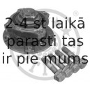 Ступица переднего колеса с подшипником OPTIMAL 501121