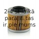 Eļļas filtrs MANN-FILTER MH 65/1