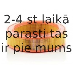 Воздушный фильтр MANN-FILTER C 2555/2