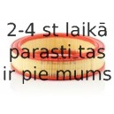 Воздушный фильтр MANN-FILTER C 2749