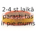 Воздушный фильтр MANN-FILTER C 2852/2