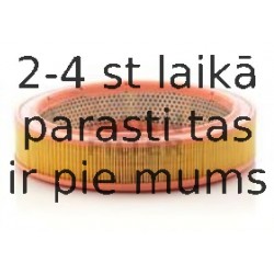 Воздушный фильтр MANN-FILTER C 2852/2