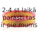 Воздушный фильтр MANN-FILTER C 3055