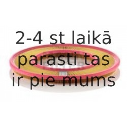 Воздушный фильтр MANN-FILTER C 4190/1