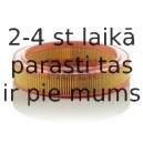 Воздушный фильтр MANN-FILTER C 2534