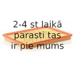 Воздушный фильтр MANN-FILTER C 3167/1