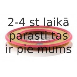 Gaisa filtrs MANN-FILTER C 3555