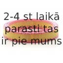 Воздушный фильтр MANN-FILTER C 2953/1