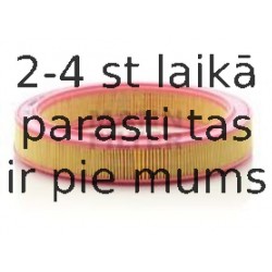 Воздушный фильтр MANN-FILTER C 2953/1