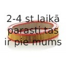 Воздушный фильтр MANN-FILTER C 2942