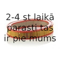 Воздушный фильтр MANN-FILTER C 2942