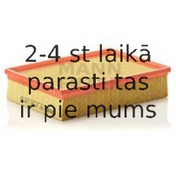 Воздушный фильтр MANN-FILTER C 25 118