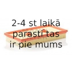 Воздушный фильтр MANN-FILTER C 3083/1