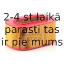 Воздушный фильтр MANN-FILTER C 29 200