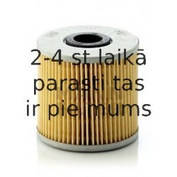 Eļļas filtrs MANN-FILTER H 1032/1 x