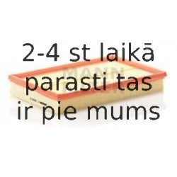 Воздушный фильтр MANN-FILTER C 2998/5 x