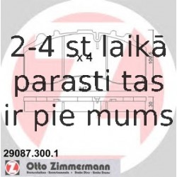 Bremžu uzliku kompl., Disku bremzes ZIMMERMANN 29087.300.1