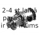 313 011 2900